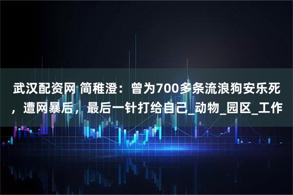 武汉配资网 简稚澄：曾为700多条流浪狗安乐死，遭网暴后，最后一针打给自己_动物_园区_工作