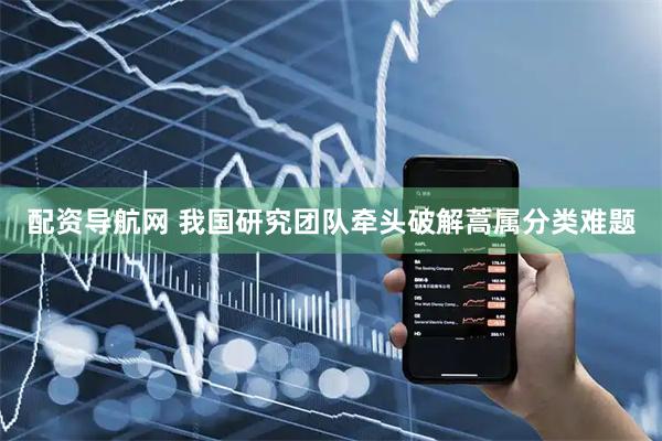 配资导航网 我国研究团队牵头破解蒿属分类难题