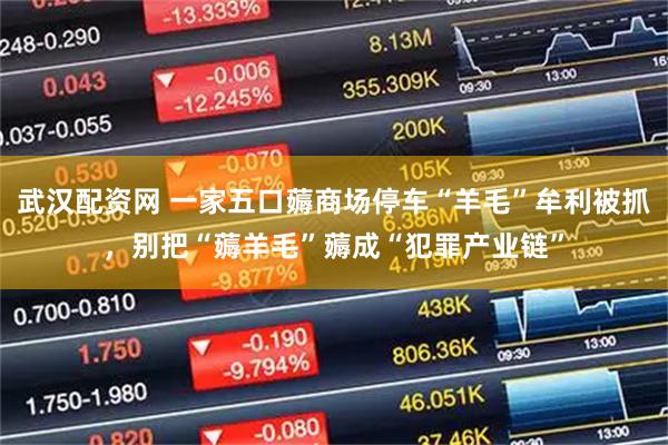 武汉配资网 一家五口薅商场停车“羊毛”牟利被抓,别把“薅羊毛”薅成“犯罪产业链”